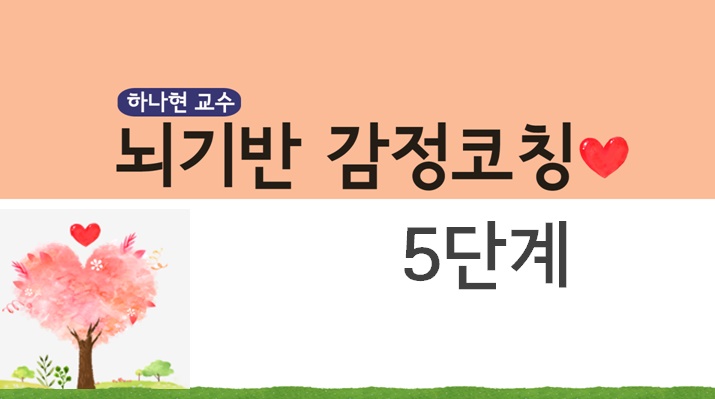 뇌기반 감정코칭 5단계(보수교육 12시간 인정)