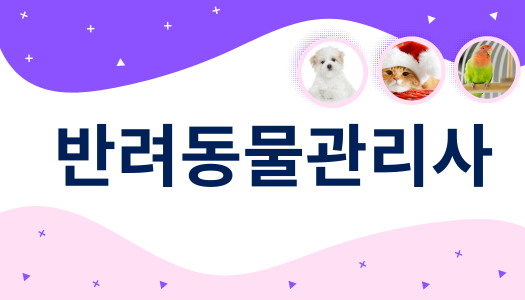 [민간자격취득과정] 반려동물관리사 1급