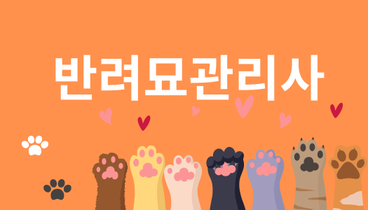[민간자격취득과정] 반려묘관리사 1급