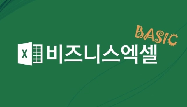 [엑셀 2013] 비즈니스 엑셀 Basic
