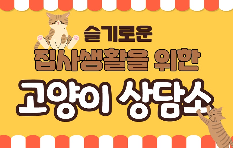 슬기로운 집사생활을 위한 고양이 상담소
